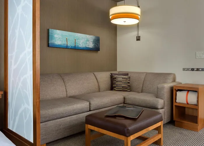 Hyatt Place Chicago/downtown - The Loop Chicago
