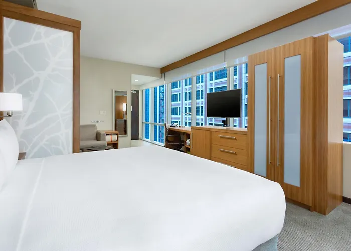 Hyatt Place Chicago/downtown - The Loop 3* Chicago