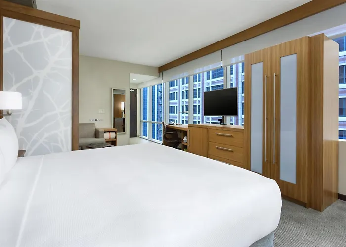 Hotel Hyatt Place Chicago/downtown - The Loop