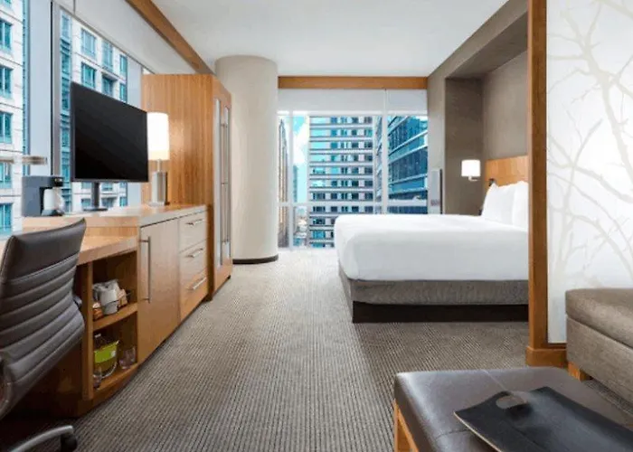 Hotel Hyatt Place Chicago/downtown - The Loop Chicago