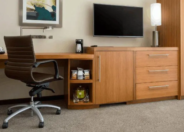 Hotel Hyatt Place Chicago/downtown - The Loop 3*