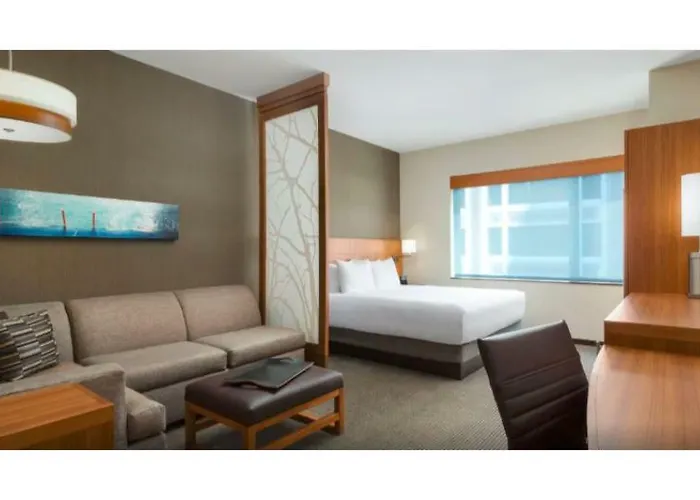 Hotel Hyatt Place Chicago/downtown - The Loop Chicago